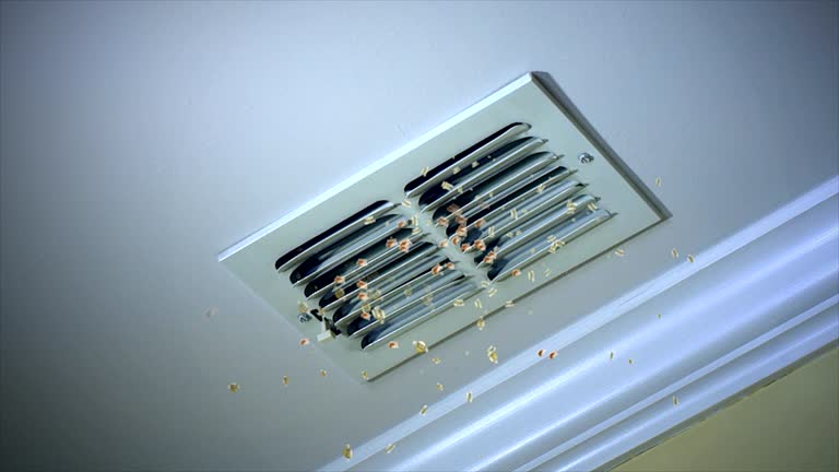 Best Ventilation Cleaning Services  in Riverdale Park, CA