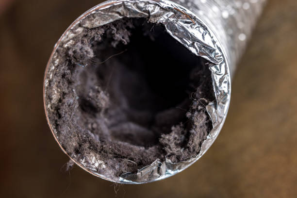 Best Ductwork Cleaning Services  in Riverdale Park, CA